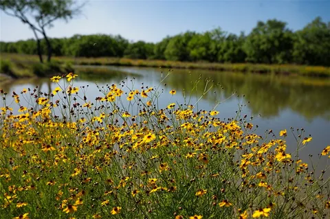 $1,625,000 | 141 South Private Road 1026, Kingsville, TX 78363