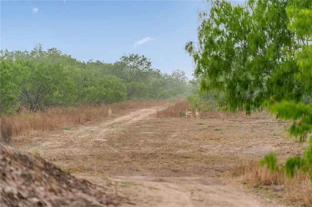 $1,625,000 | 141 South Private Road 1026, Kingsville, TX 78363