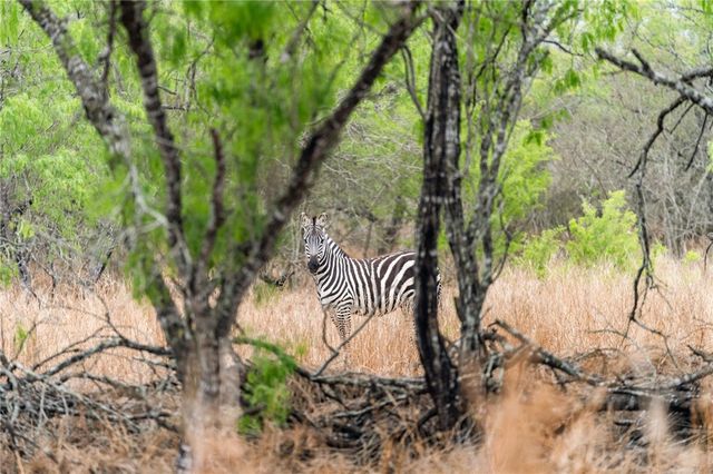 $1,625,000 | 141 South Private Road 1026, Kingsville, TX 78363