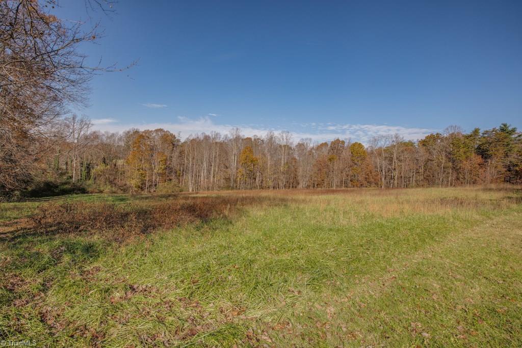 1768 Cook School Road Pilot Mountain, NC 27041 - Photo 20 of 22 Gallery Image 20