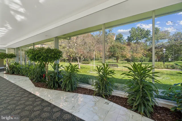 a view of a garden from a window