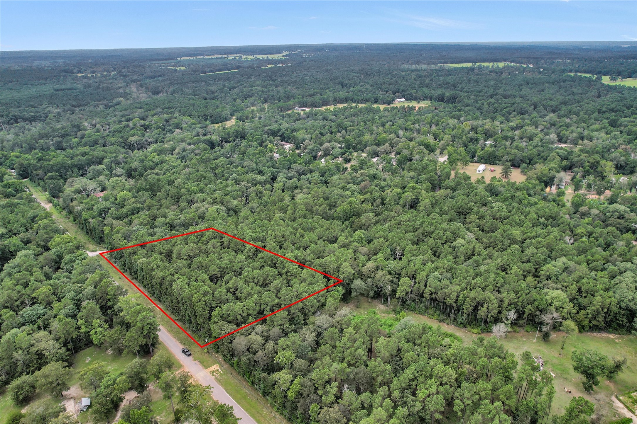 Lot 20 East Double Creek Road Willis, TX 77378 - Photo 3 of 13 a view of a green field with lots of bushes