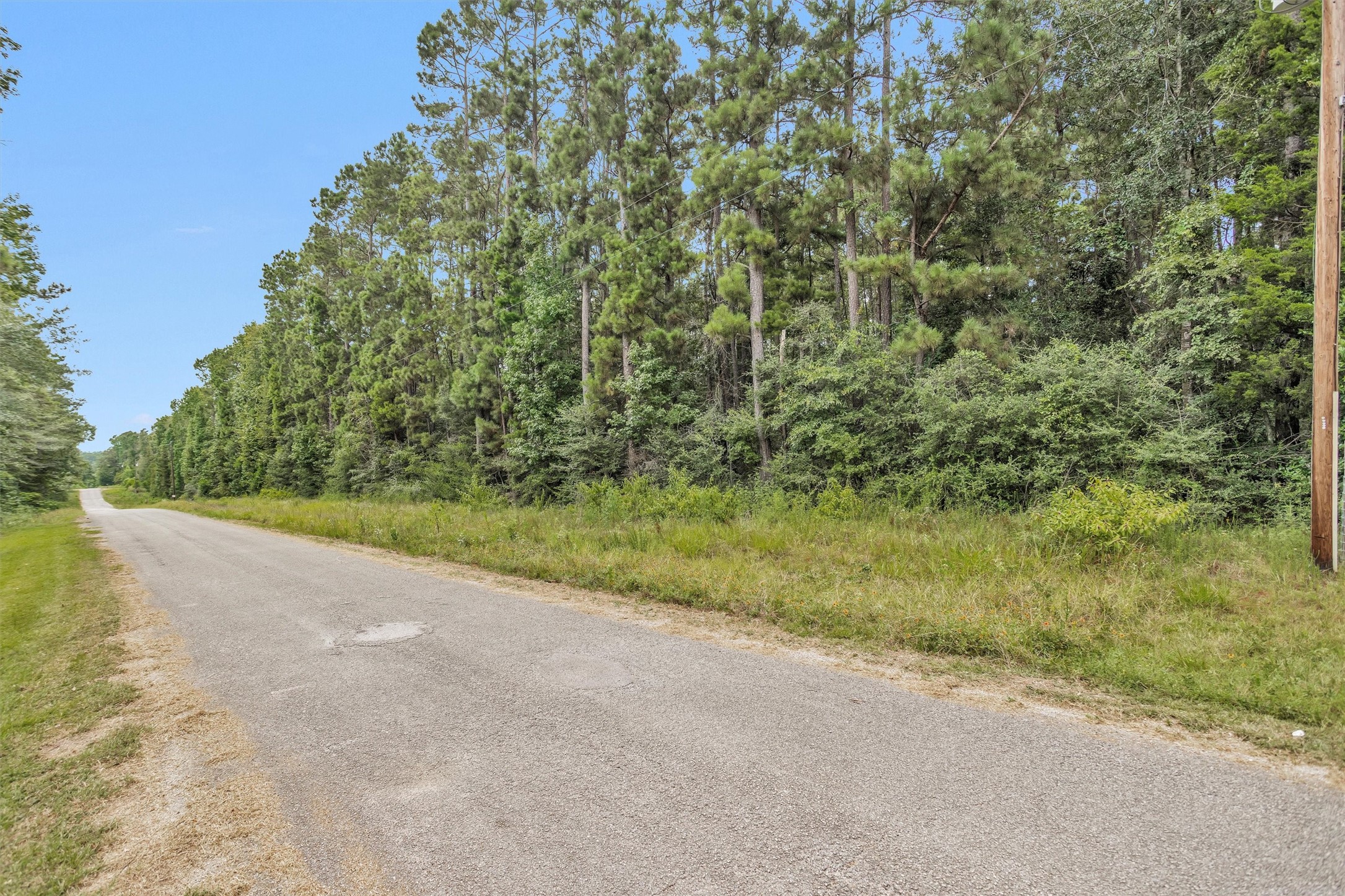 Lot 20 East Double Creek Road Willis, TX 77378 - Photo 5 of 13 a view of a yard with plants and large trees