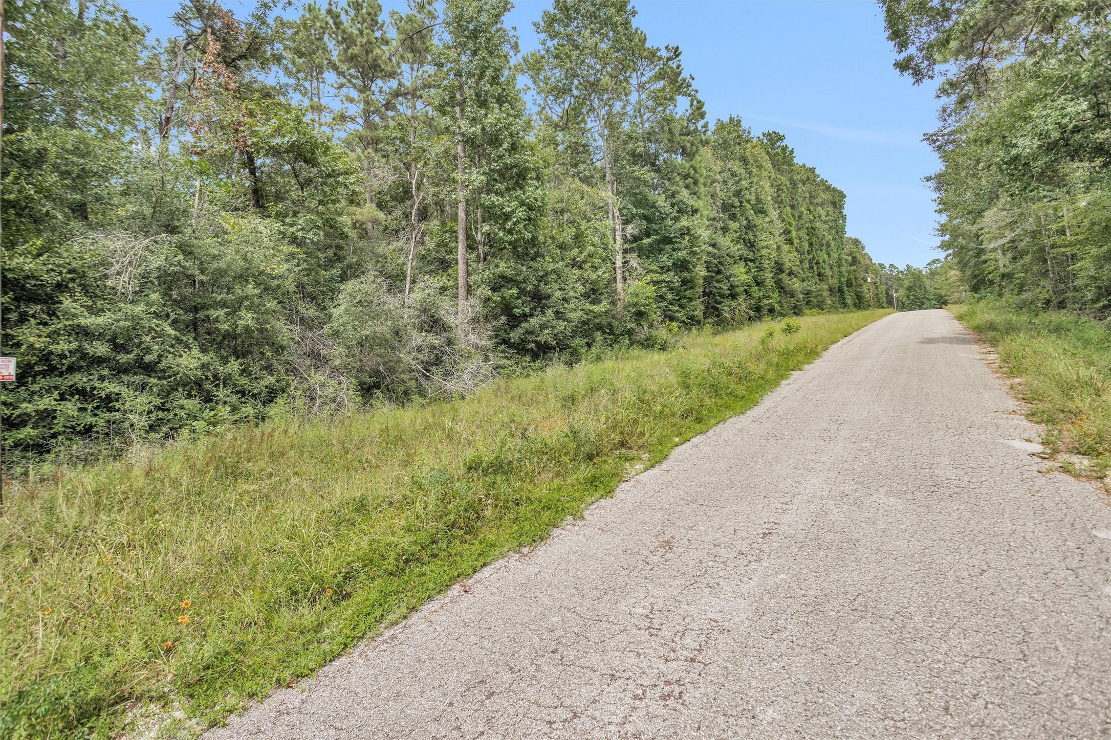 Lot 20 East Double Creek Road Willis, TX 77378 - Photo 6 of 13 a view of a garden with plants