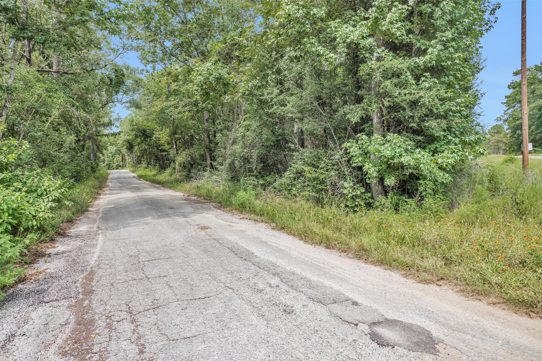 Lot 20 East Double Creek Road Willis, TX 77378 - Photo 7 of 13 a view of a yard with a plants