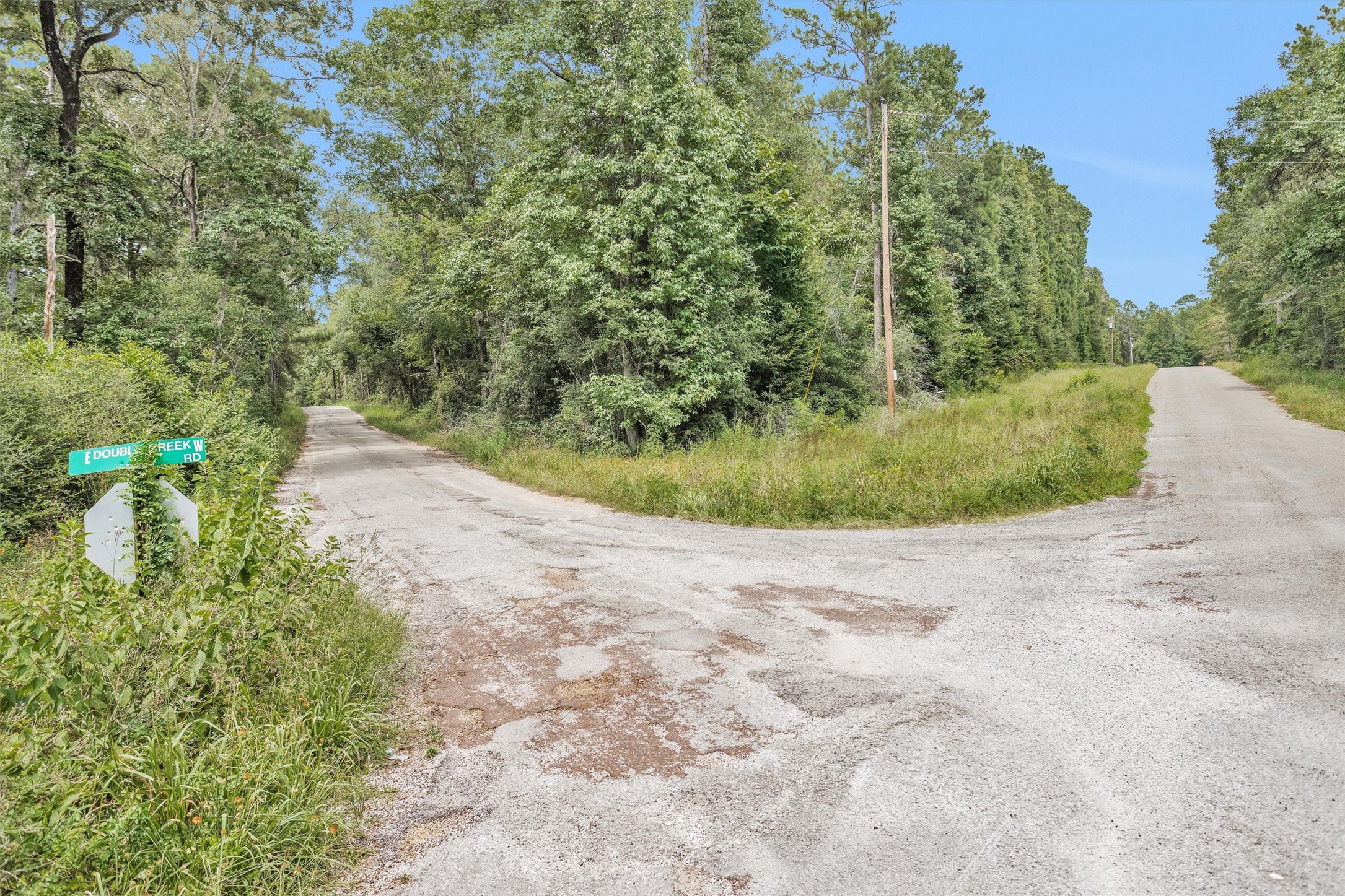 Lot 20 East Double Creek Road Willis, TX 77378 - Photo 8 of 13 a view of a dry yard with large trees