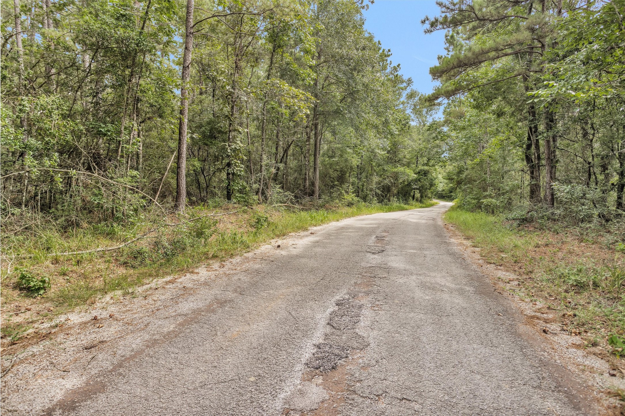 Lot 20 East Double Creek Road Willis, TX 77378 - Photo 9 of 13 a view of a dirt road with trees in the background