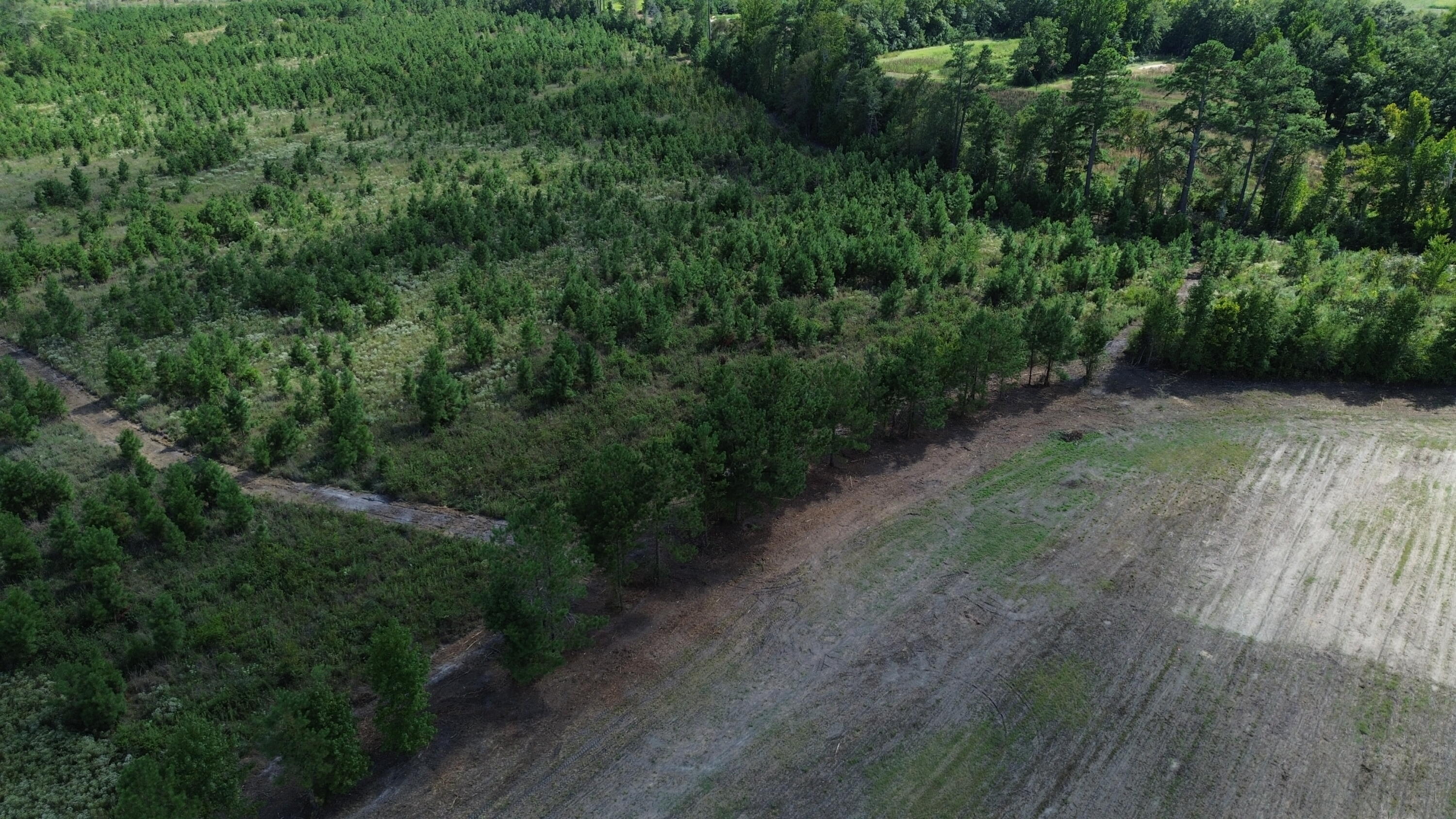 1 Bethel Forest Road Rowesville, SC 29133 - Photo 10 of 23 DJI_0057
