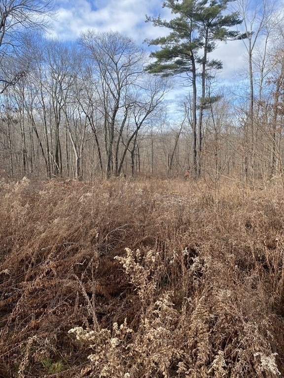 Lot 169-22 Beebe Road Monson, MA 01057 - Photo 7 of 14 Gallery Image 7