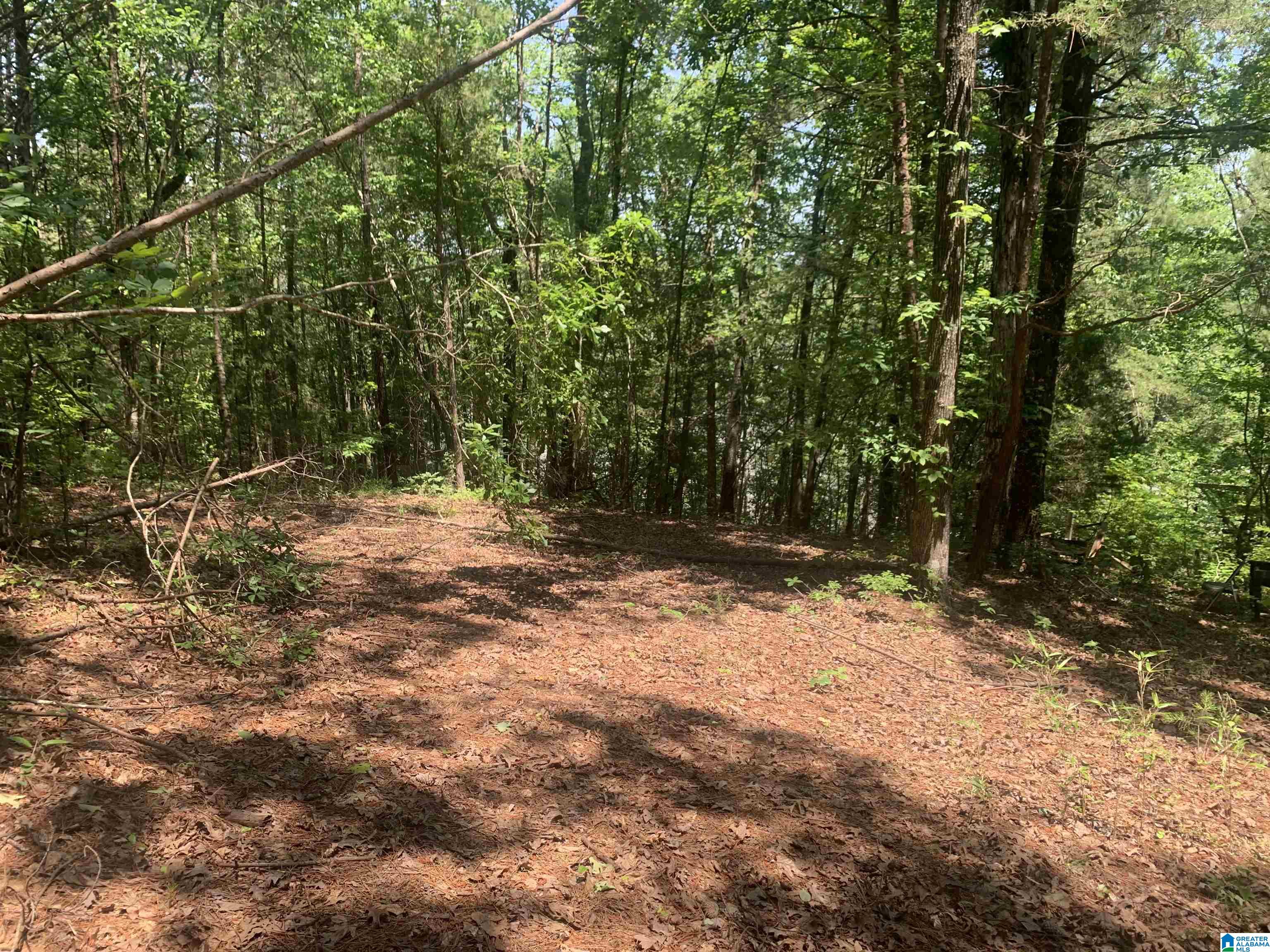 1161 Old Patton Ferry Road Adger, AL 35006 - Photo 36 of 46