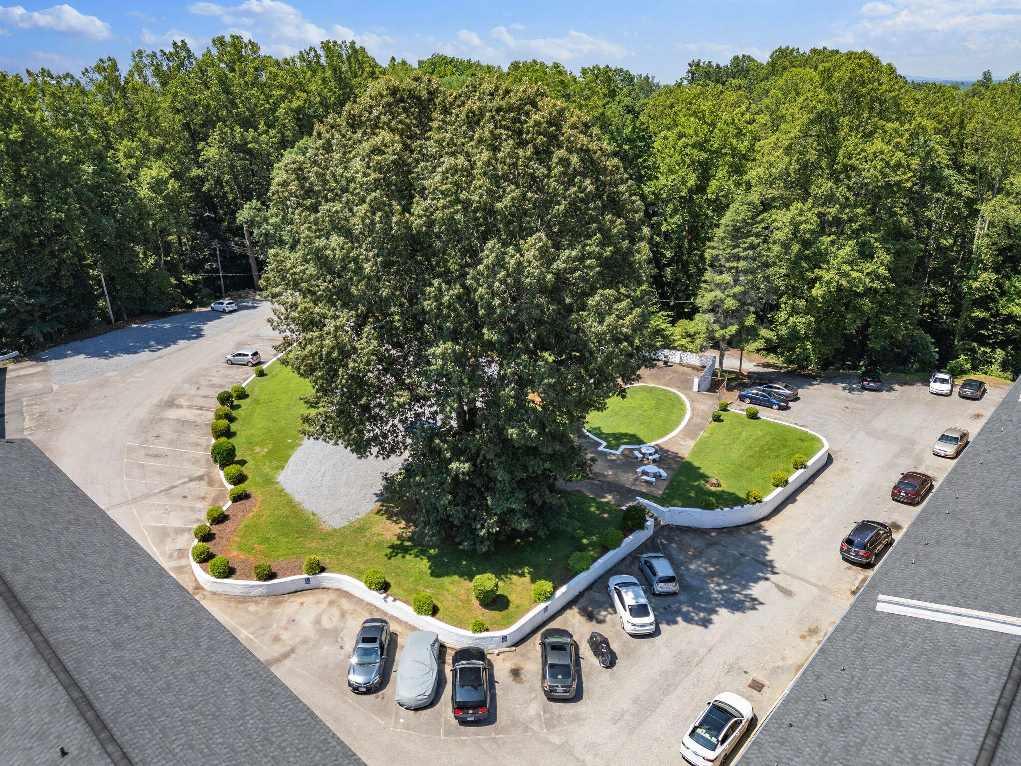 300 Ridgeview Lane, Unit 62 Bassett, VA 24055 - Photo 2 of 23 view of an outdoor sitting area