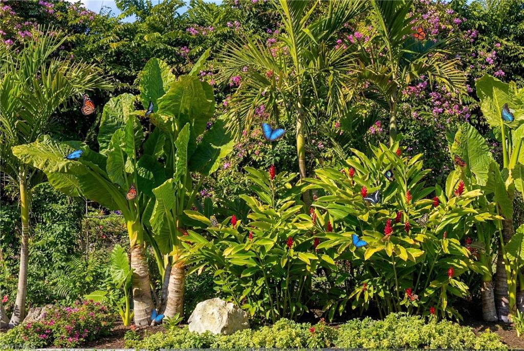 12021 Azalea Way Naples, FL 34120 - Photo 3 of 50 Your rear view is nature's masterpiece.