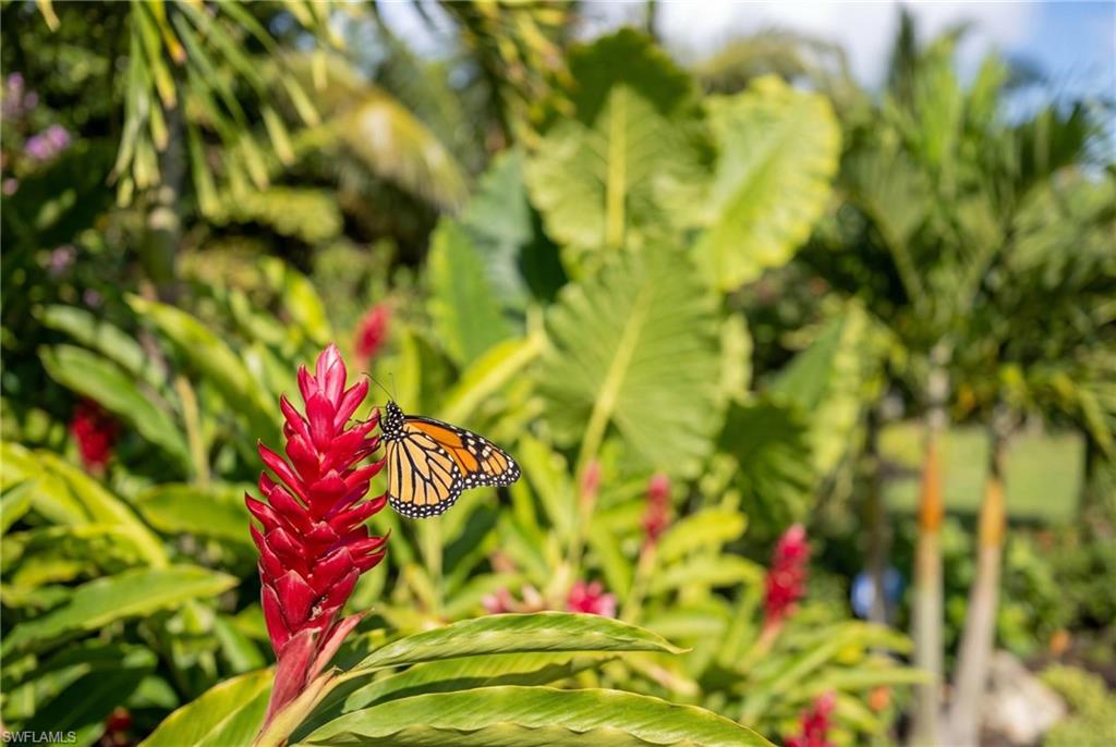 12021 Azalea Way Naples, FL 34120 - Photo 47 of 50