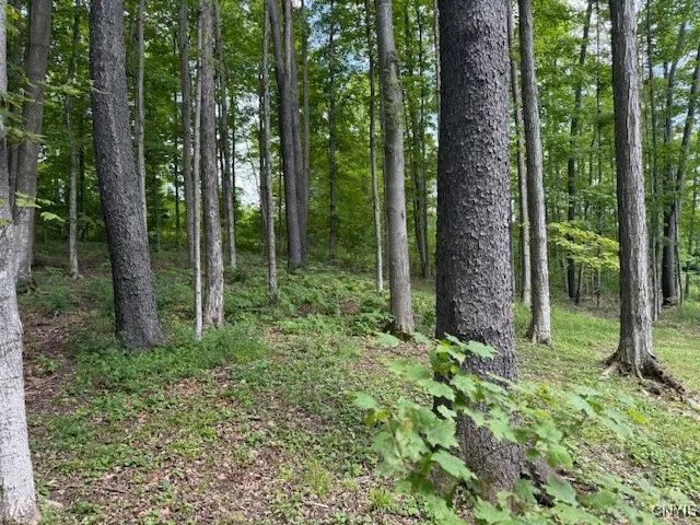 $369,000 | 1991 Artemis Drive, Virgil, NY 13045