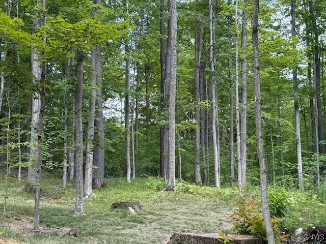 $369,000 | 1991 Artemis Drive, Virgil, NY 13045