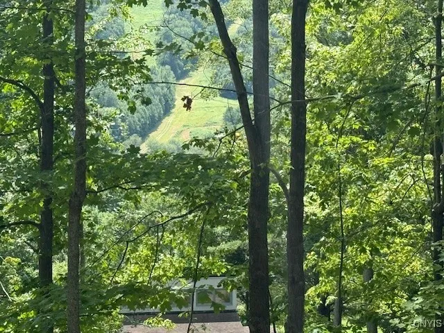 $369,000 | 1991 Artemis Drive, Virgil, NY 13045