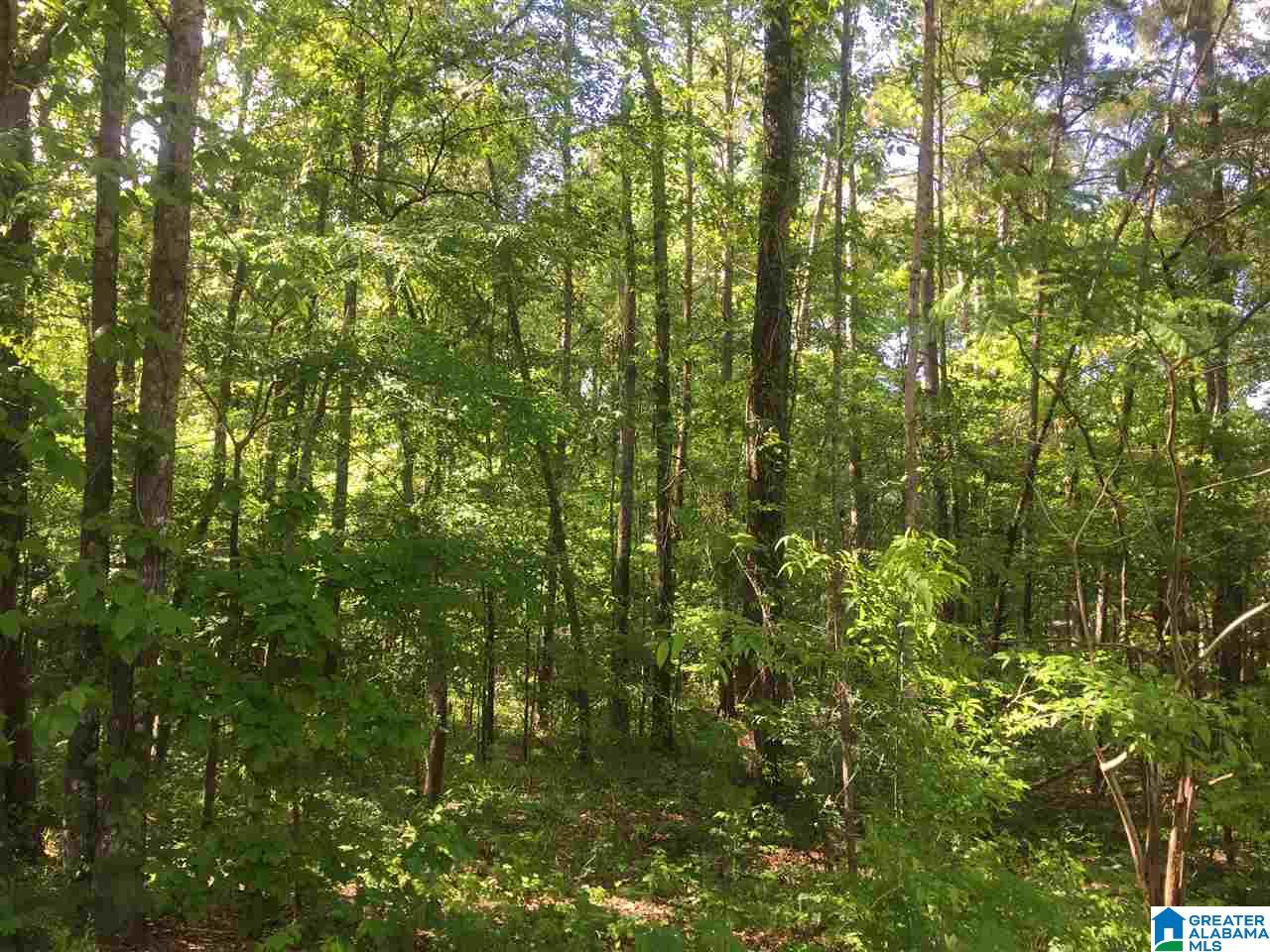 Old Village Road McCalla, AL 35111 - Photo 5 of 12