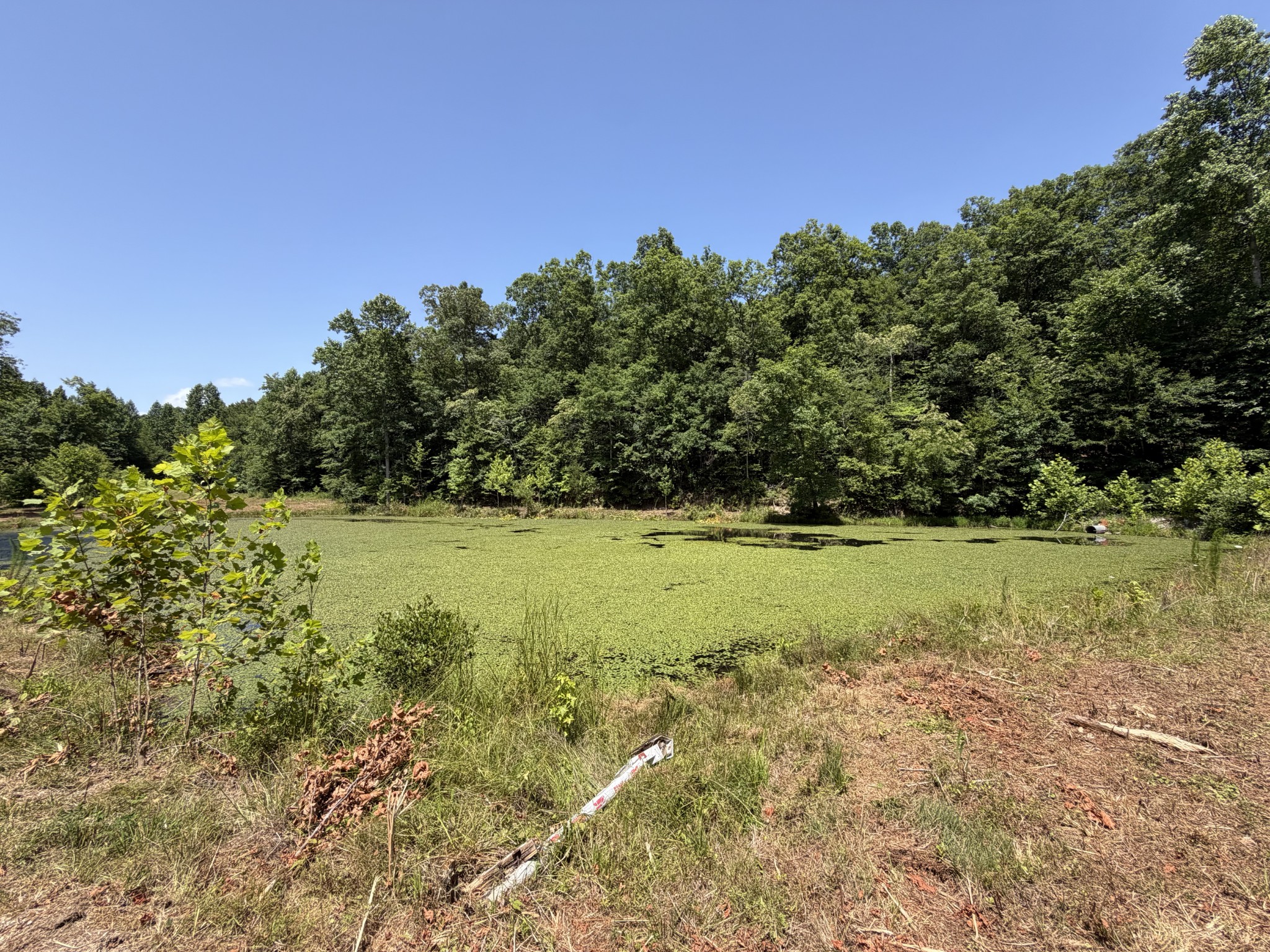 215 Bar Bee Road Hohenwald, TN 38462 - Photo 10 of 51
