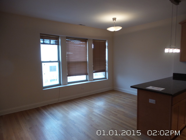 1325 East Marquette Road, Unit 3 Chicago, IL 60637 - Photo 3 of 16