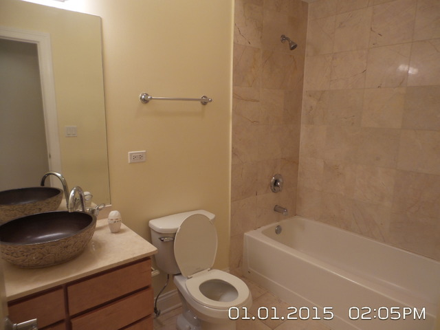 1325 East Marquette Road, Unit 3 Chicago, IL 60637 - Photo 10 of 16