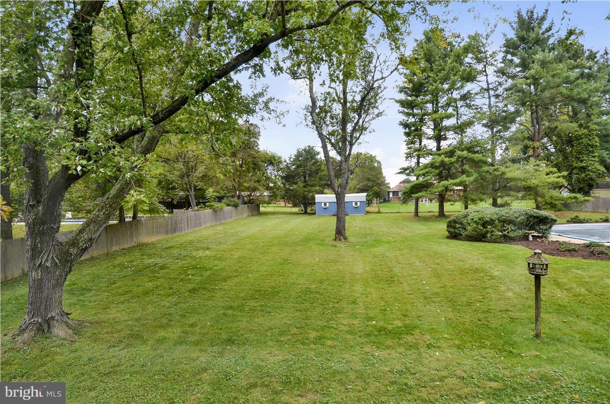 2117 Apple Tree Lane Silver Spring, MD 20905 - Photo 30 of 30 a view of park with trees