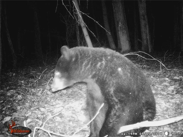 $83,500 | 580 Honey Hollow Road, Windsor, NY 13865