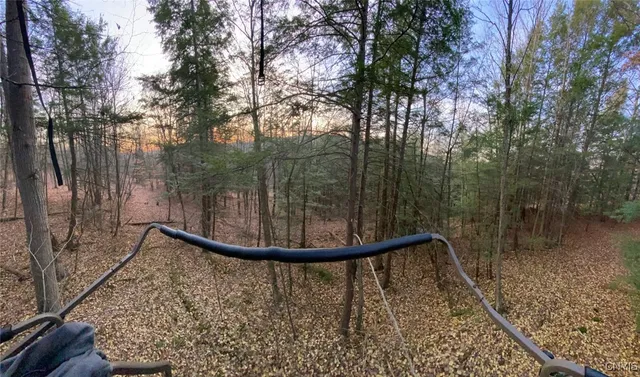 $83,500 | 580 Honey Hollow Road, Windsor, NY 13865