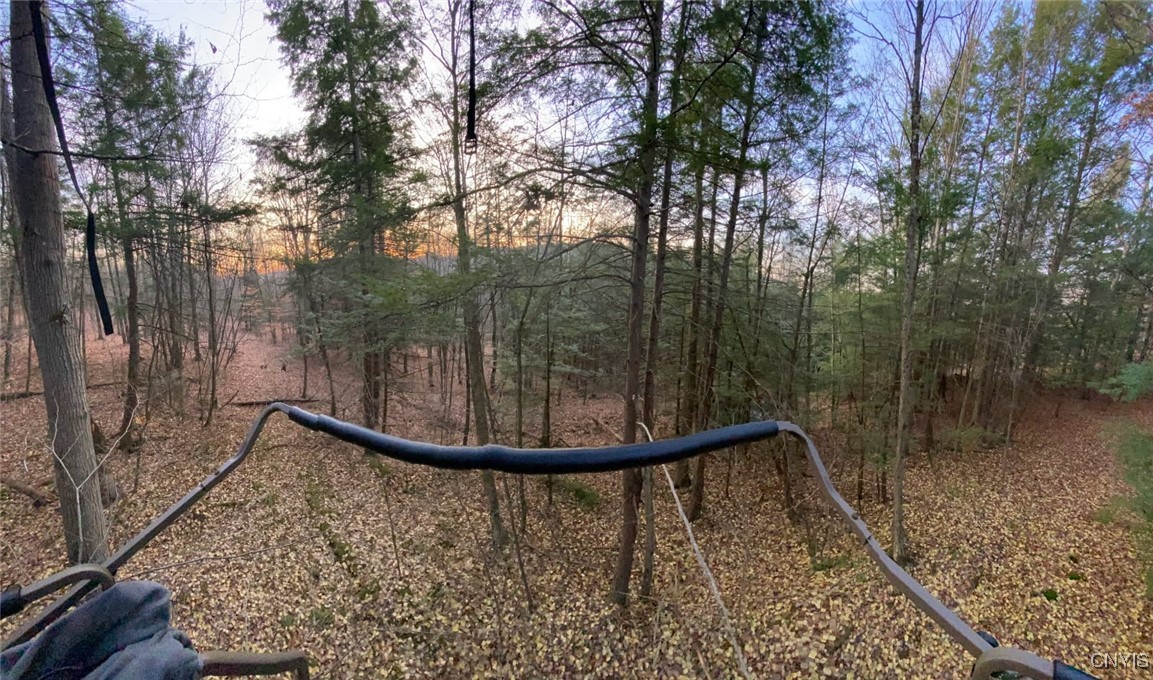 580 Honey Hollow Road Windsor, NY 13865 - Photo 3 of 5 Fall pic of property