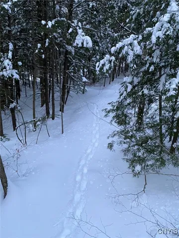 $83,500 | 580 Honey Hollow Road, Windsor, NY 13865