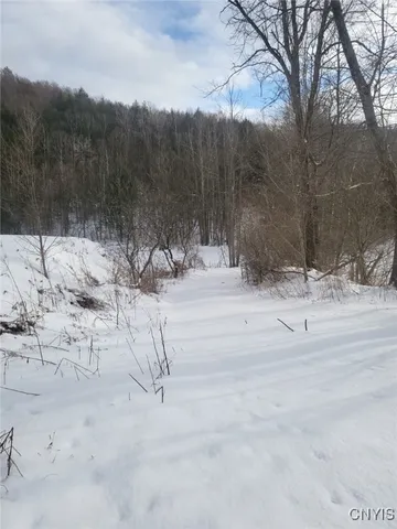 $83,500 | 580 Honey Hollow Road, Windsor, NY 13865