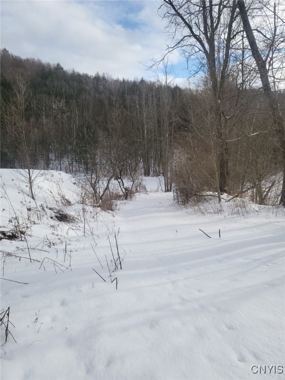 580 Honey Hollow Road Windsor, NY 13865 - Photo 5 of 5 more winter