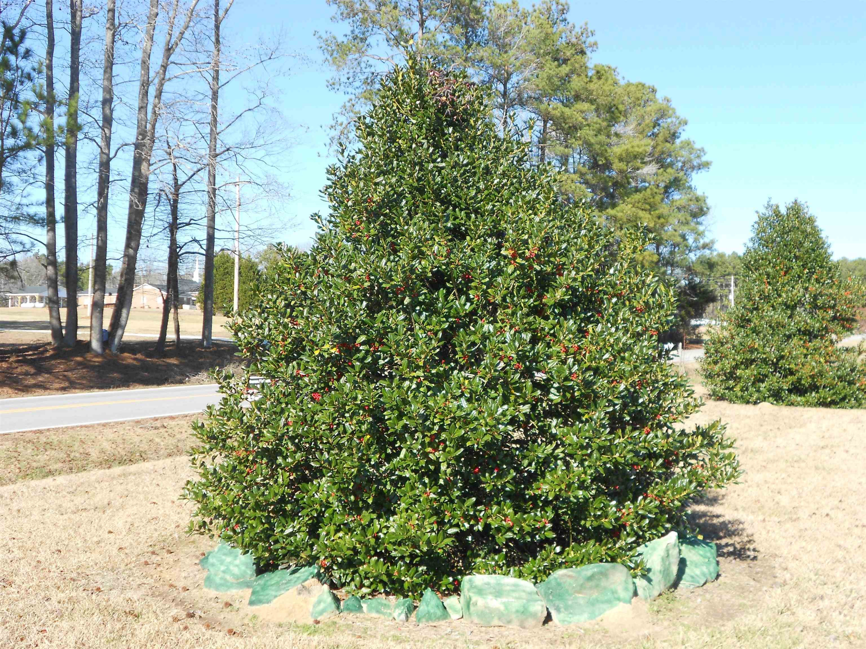 75 Joe Denton Road Louisburg, NC 27549 - Photo 18 of 19
