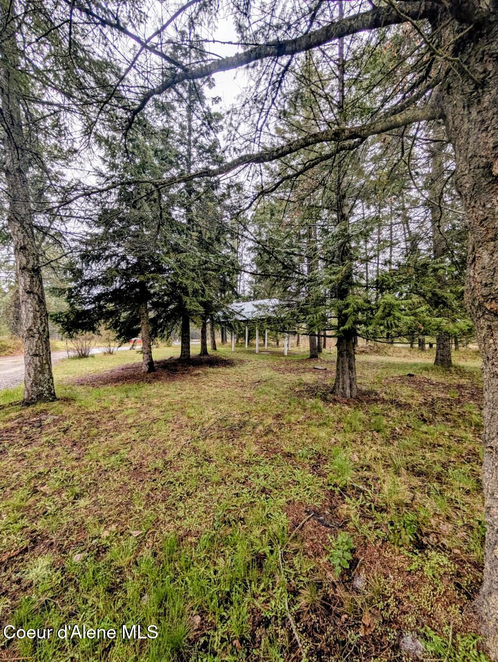 968 Roosevelt Road Bonners Ferry, ID 83805 - Photo 2 of 34 Lots of room for critters