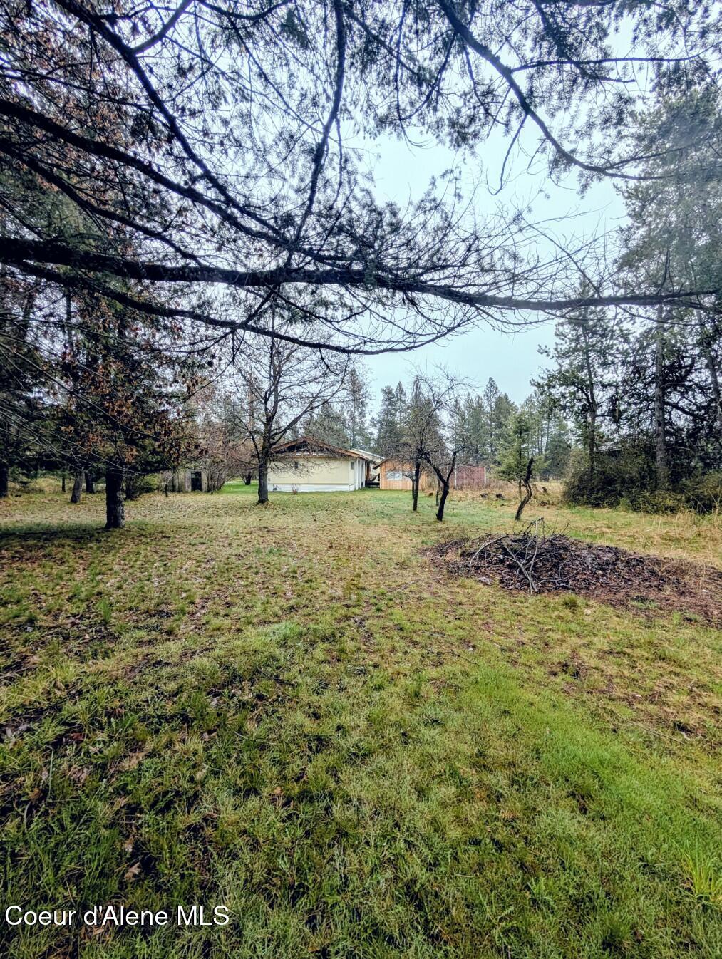 968 Roosevelt Road Bonners Ferry, ID 83805 - Photo 4 of 34 Room for cows