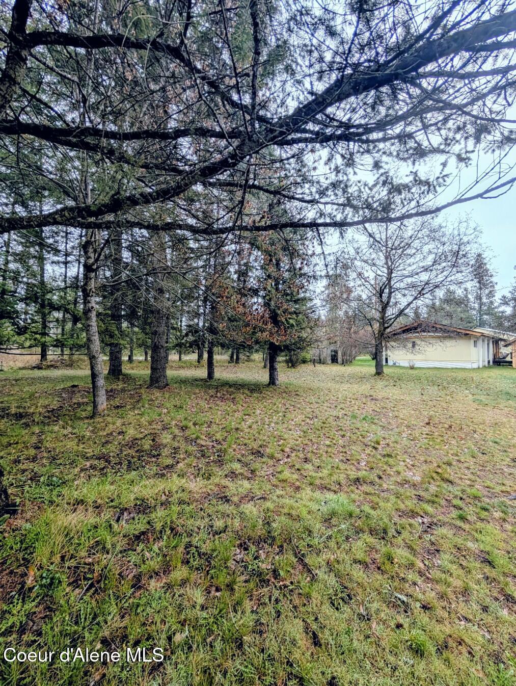 968 Roosevelt Road Bonners Ferry, ID 83805 - Photo 6 of 34 Want chickens?