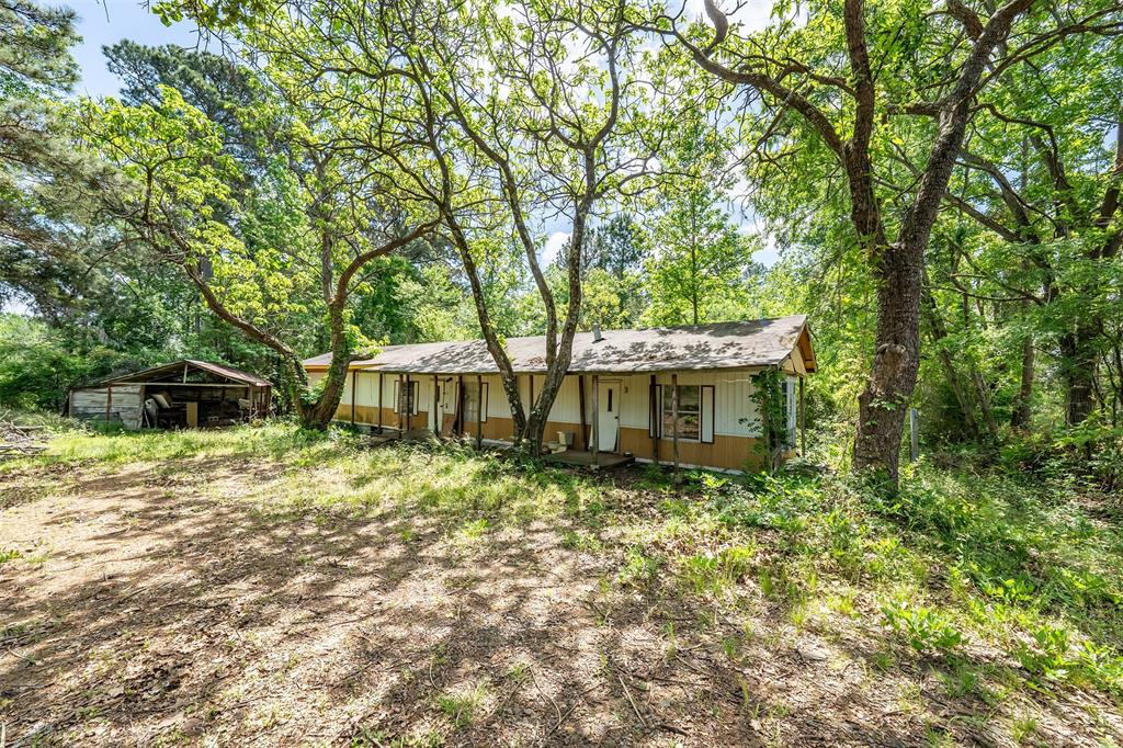 1532 Phillips Springs Road Gladewater, TX 75647 - Photo 15 of 19 a backyard of a house with plants and large trees