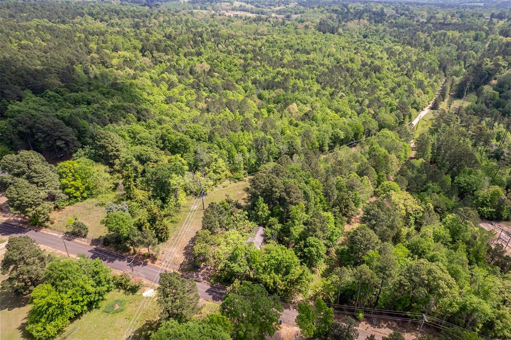 1532 Phillips Springs Road Gladewater, TX 75647 - Photo 3 of 19 a view of a lush green forest with an outdoor space