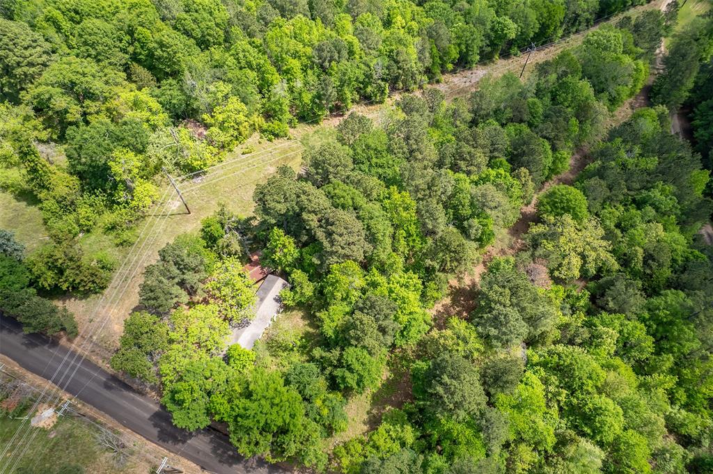 1532 Phillips Springs Road Gladewater, TX 75647 - Photo 6 of 19 a view of a garden with a plant