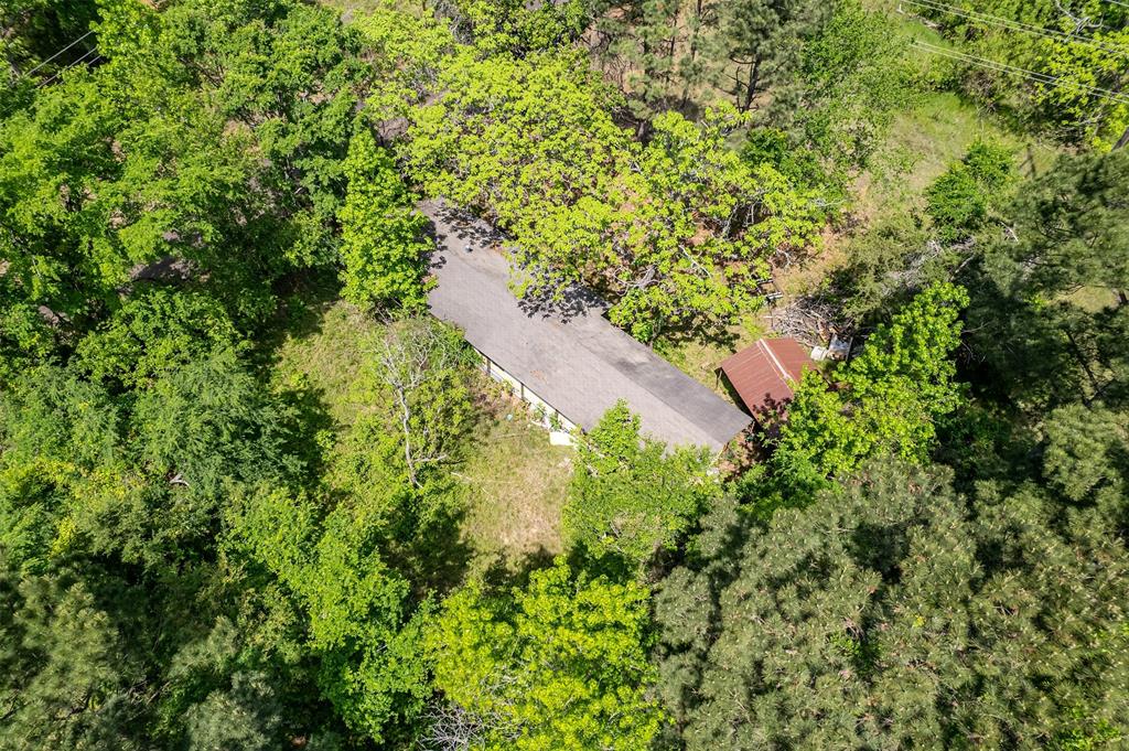 1532 Phillips Springs Road Gladewater, TX 75647 - Photo 7 of 19 a view of a garden