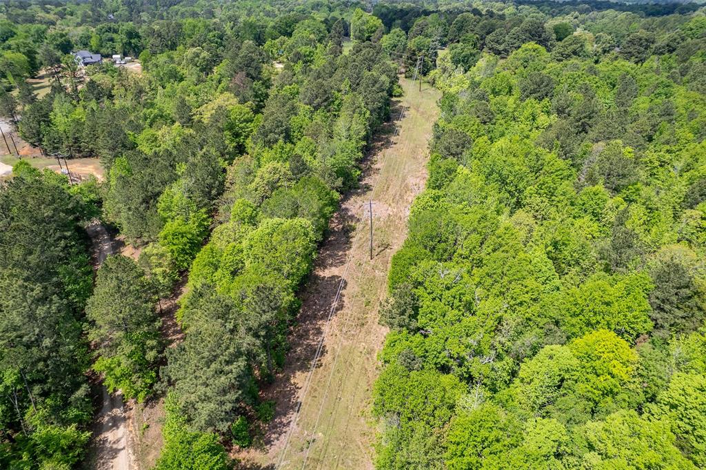 1532 Phillips Springs Road Gladewater, TX 75647 - Photo 9 of 19 a view of a lake with a yard