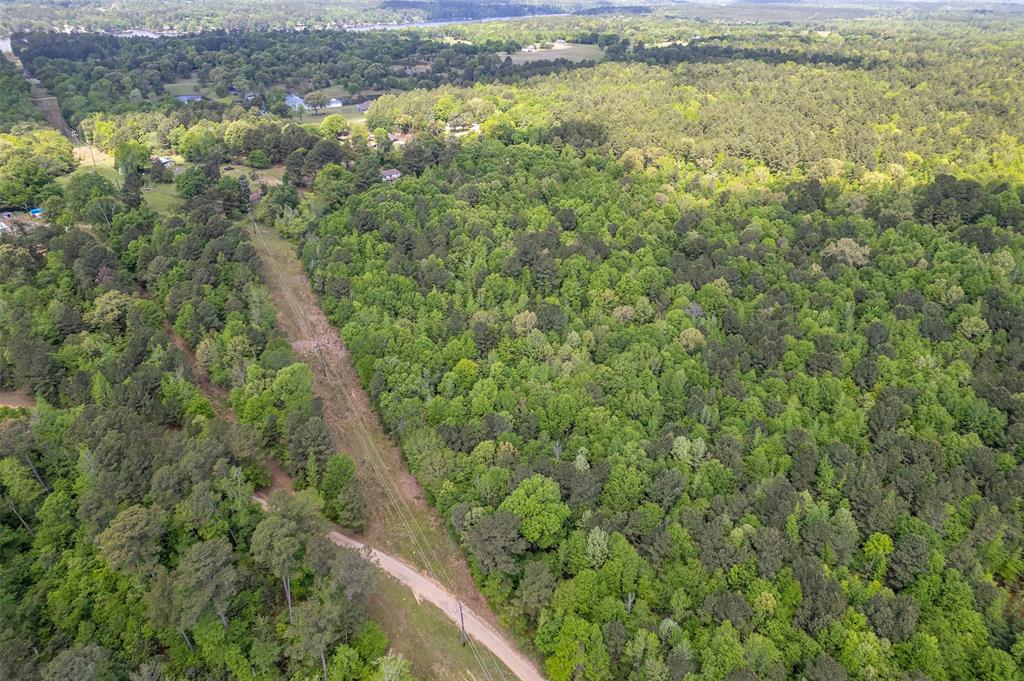 1532 Phillips Springs Road Gladewater, TX 75647 - Photo 10 of 19 a view of a lake from a forest