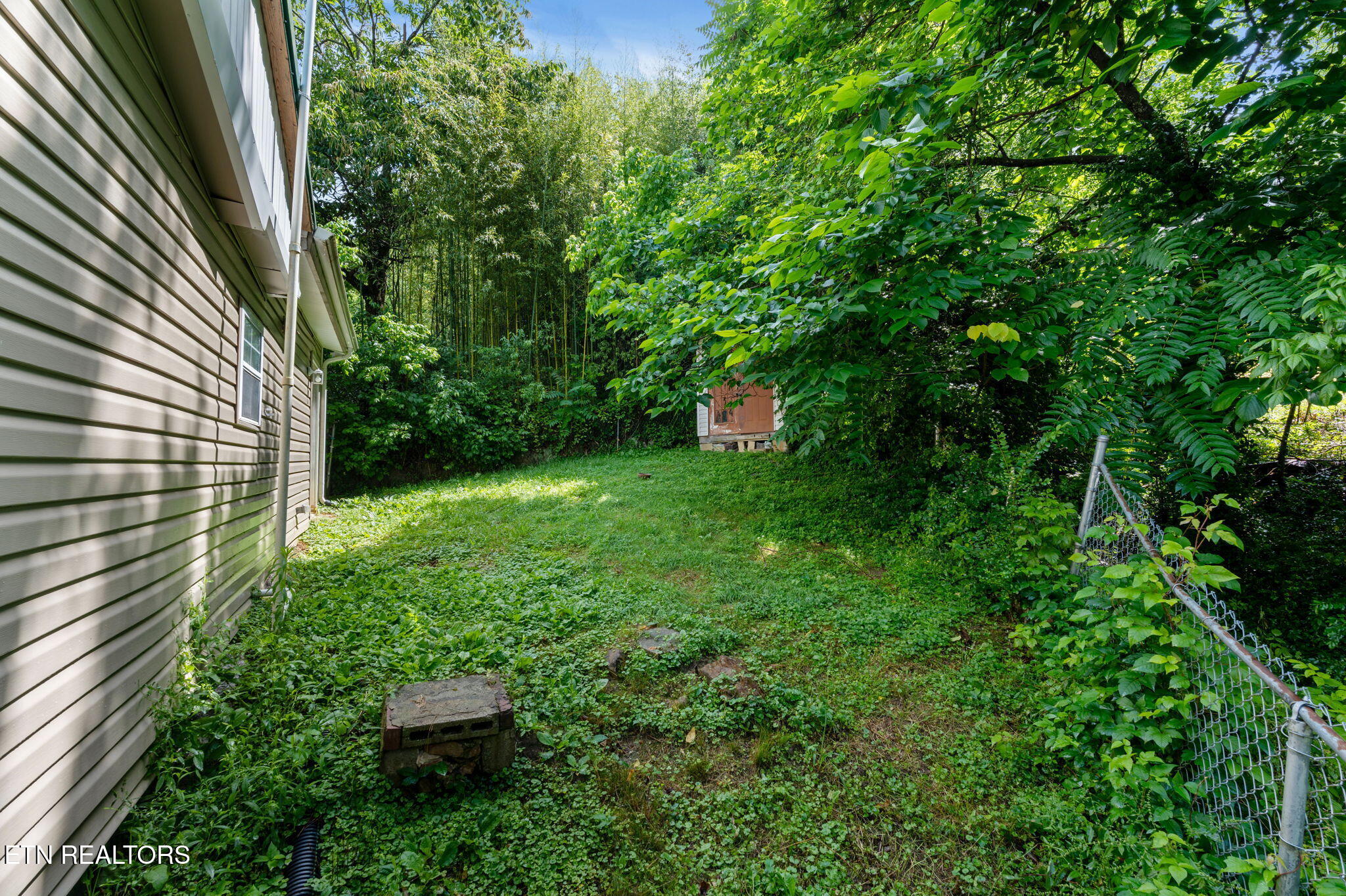 175 Andys Ridge Road Rocky Top, TN 37769 - Photo 20 of 20 22-web-or-mls-DSC08041-1