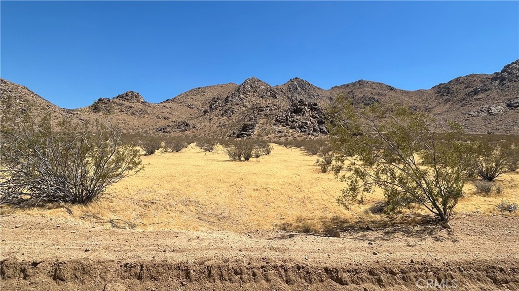 30455 Holmes Road Lucerne Valley, CA 92356 - Photo 8 of 11
