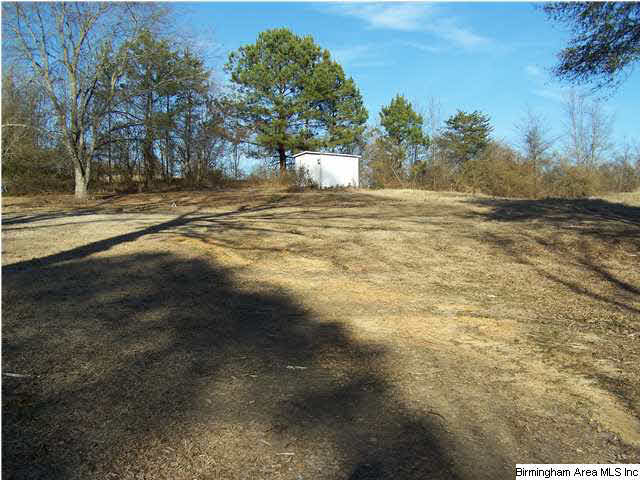 675 Posey Road Blountsville, AL 35031 - Photo 4 of 5