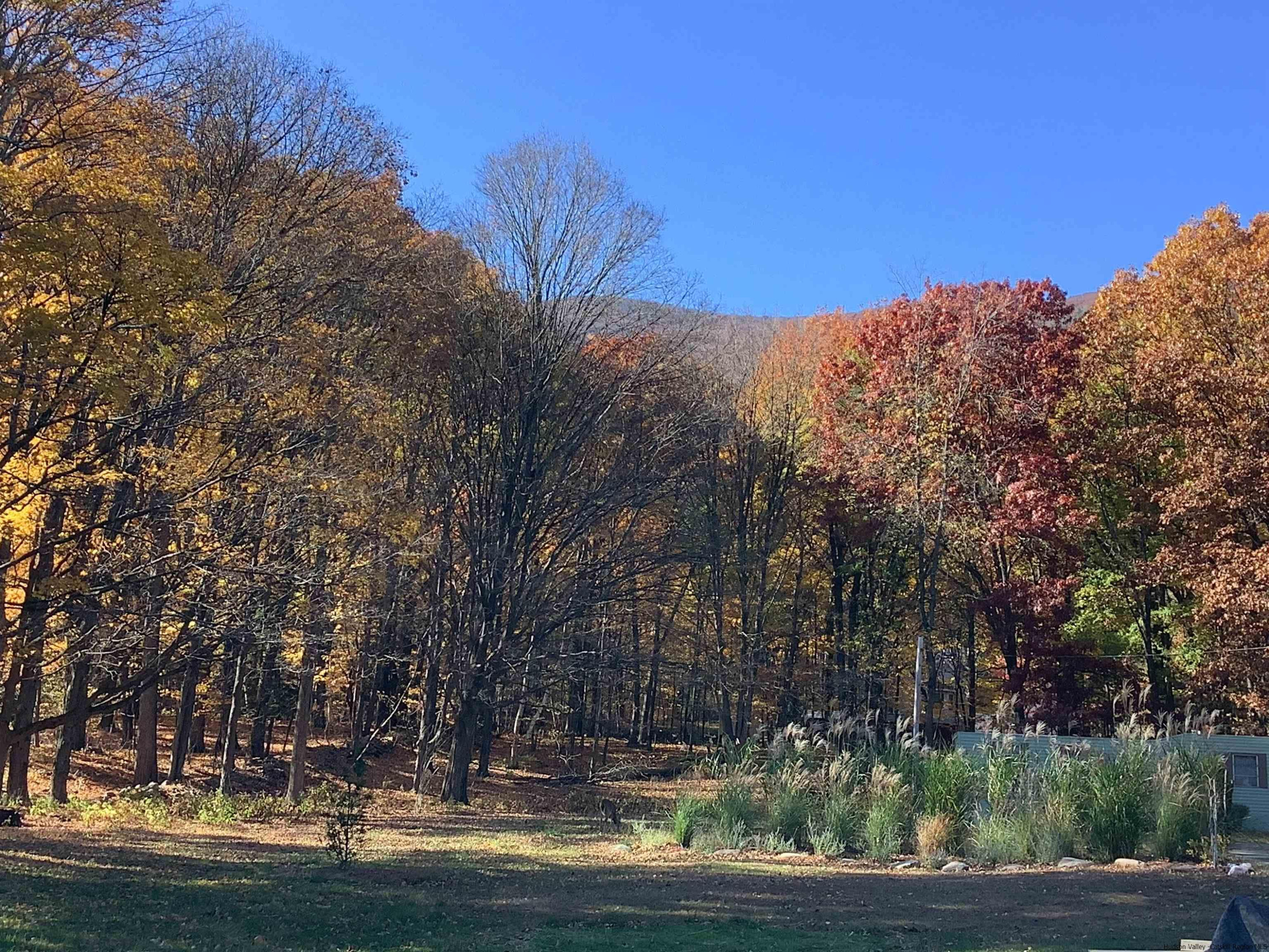 128 Cole Bank Road Saugerties, NY 12477 - Photo 24 of 26 a view of outdoor space with lots of trees