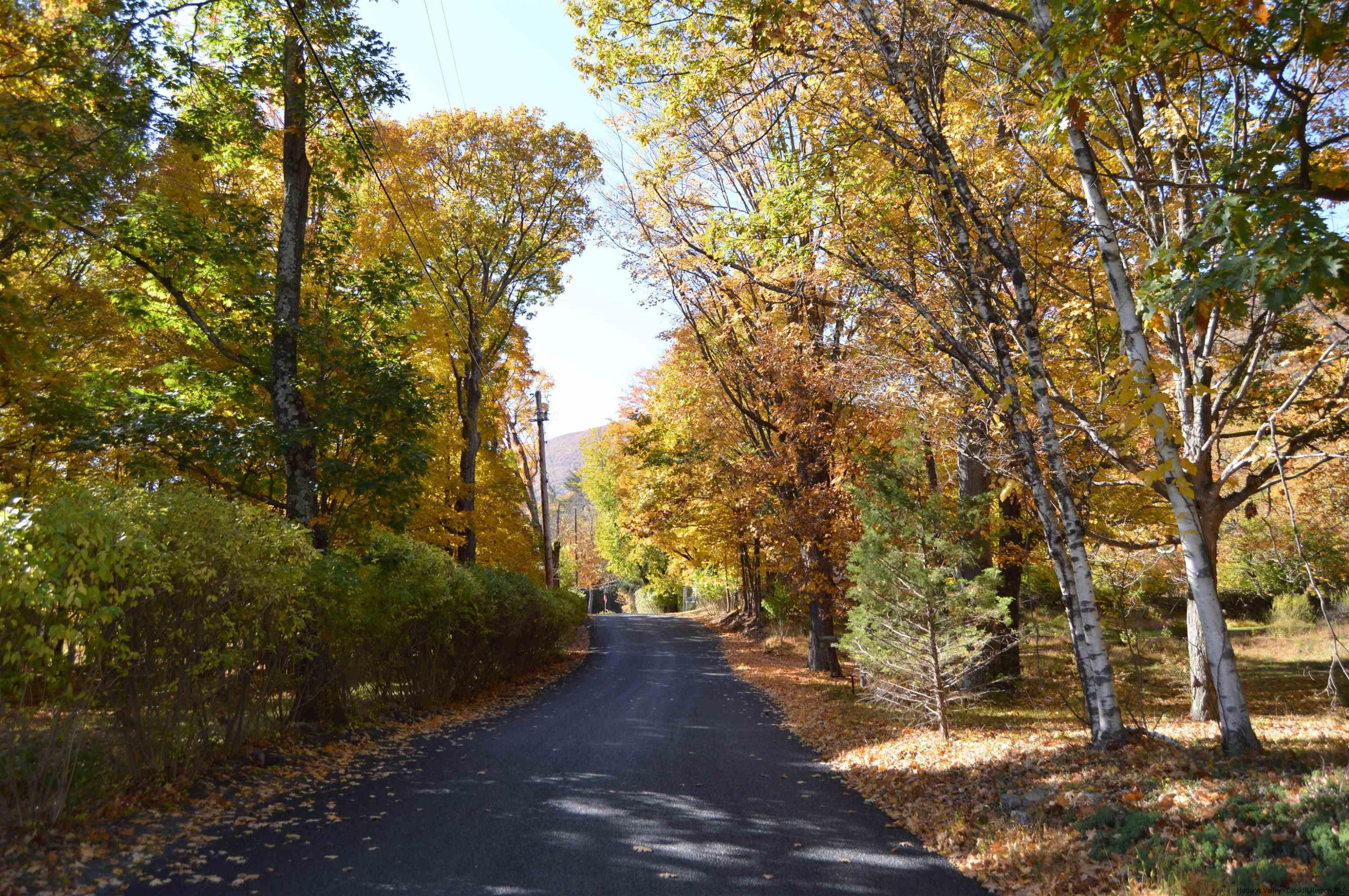 128 Cole Bank Road Saugerties, NY 12477 - Photo 25 of 26 a view of outdoor space and trees