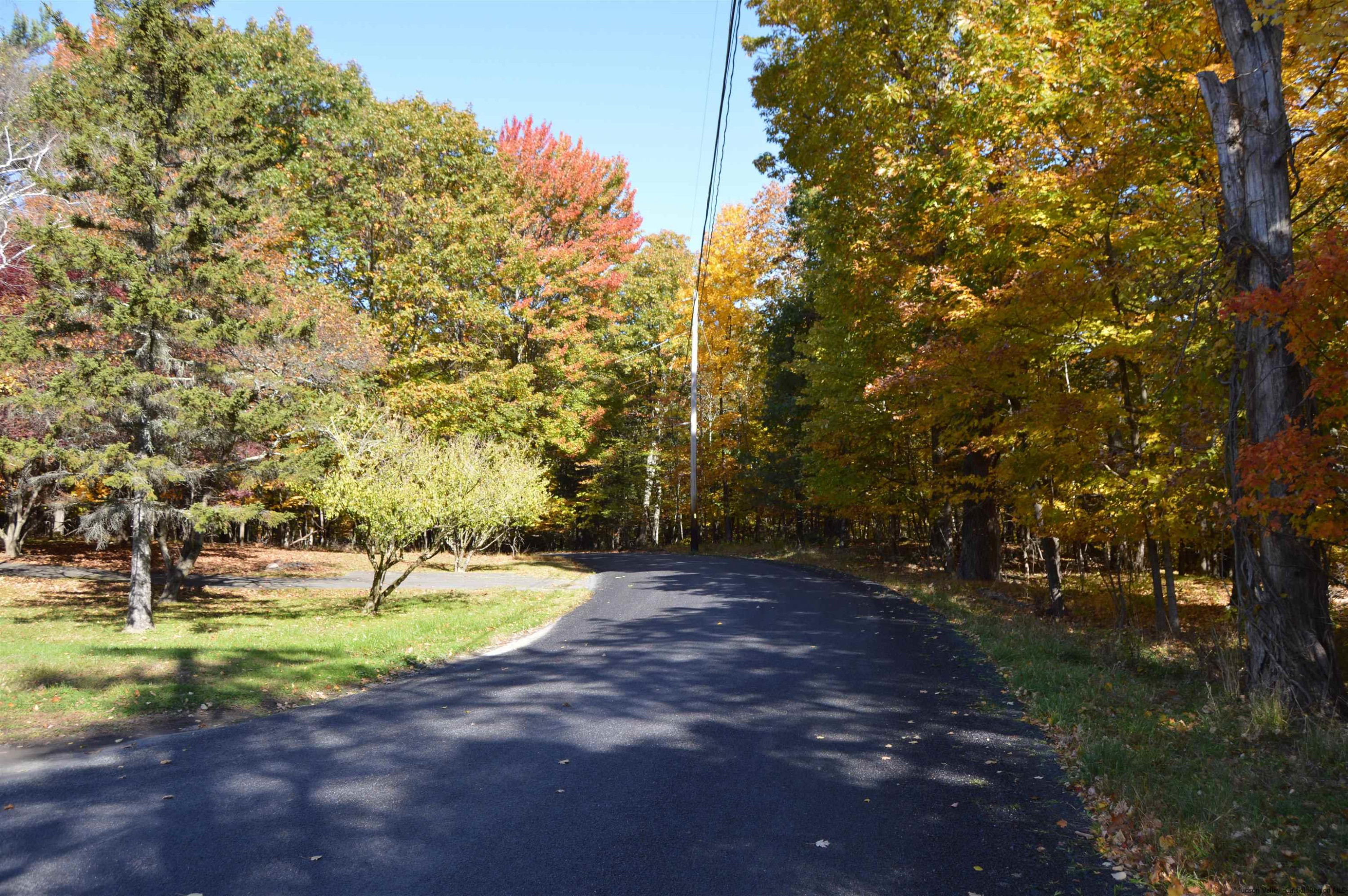 128 Cole Bank Road Saugerties, NY 12477 - Photo 26 of 26 a view of yard with tree