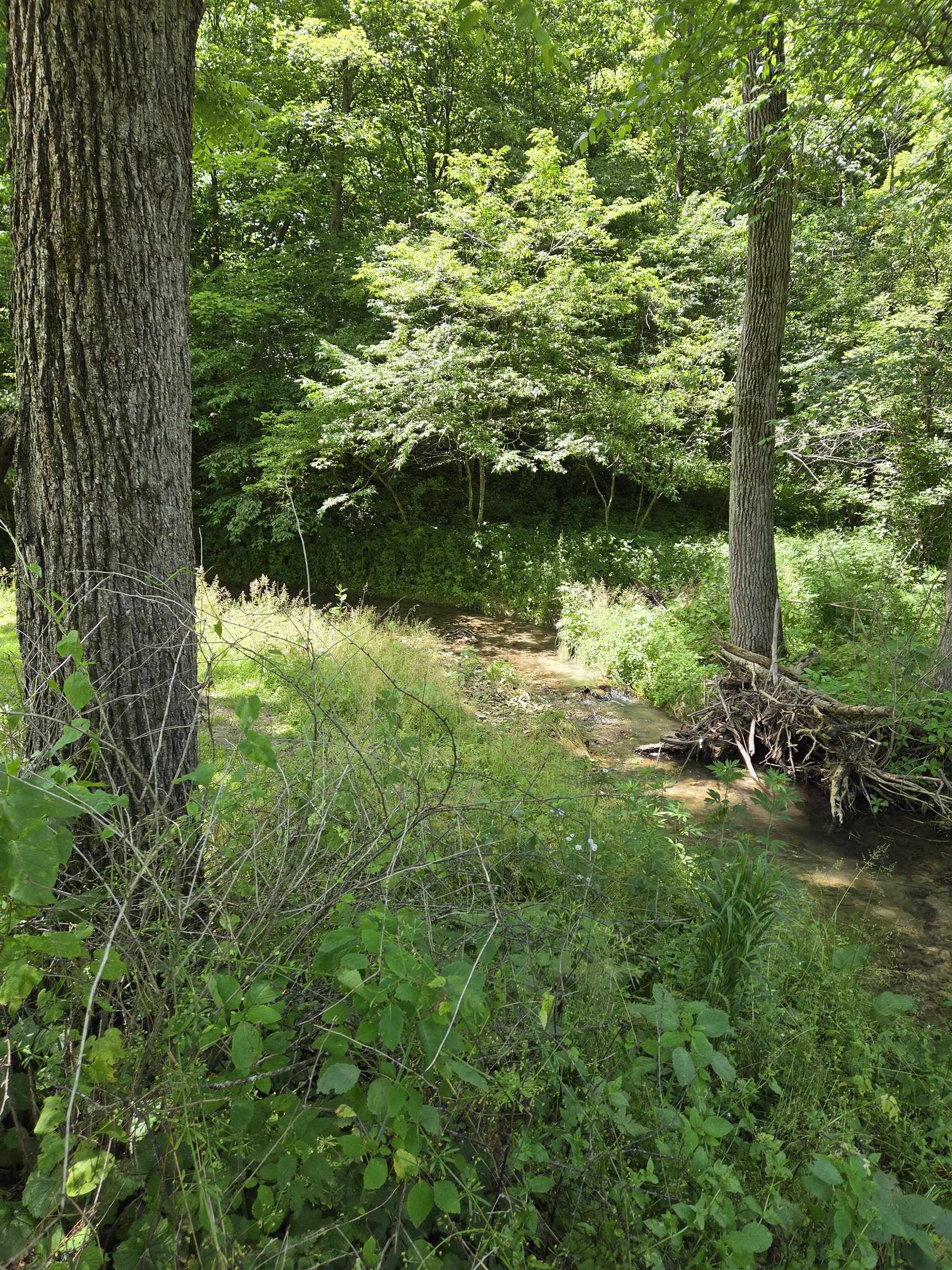 13035 Canyon Falls Road Mount Hope, WI 53816 - Photo 51 of 61