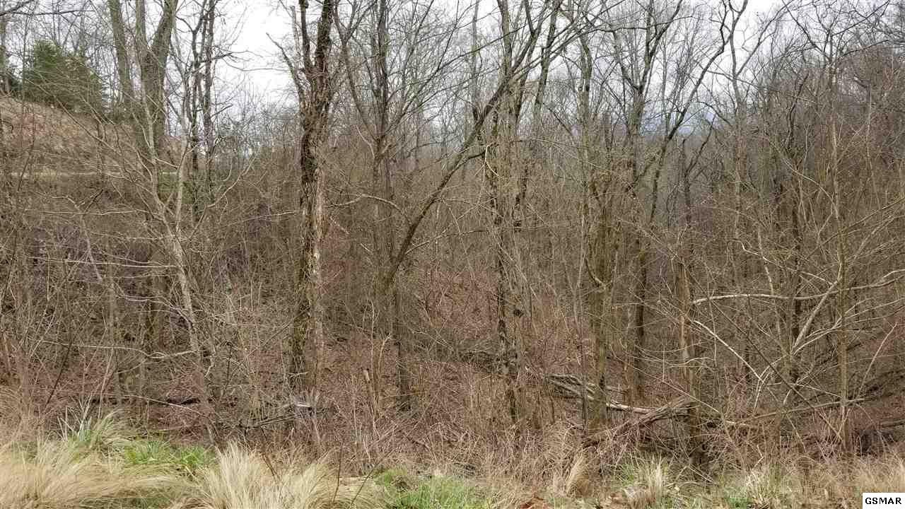 123 Last Chance Road Dandridge, TN 37725 - Photo 6 of 14