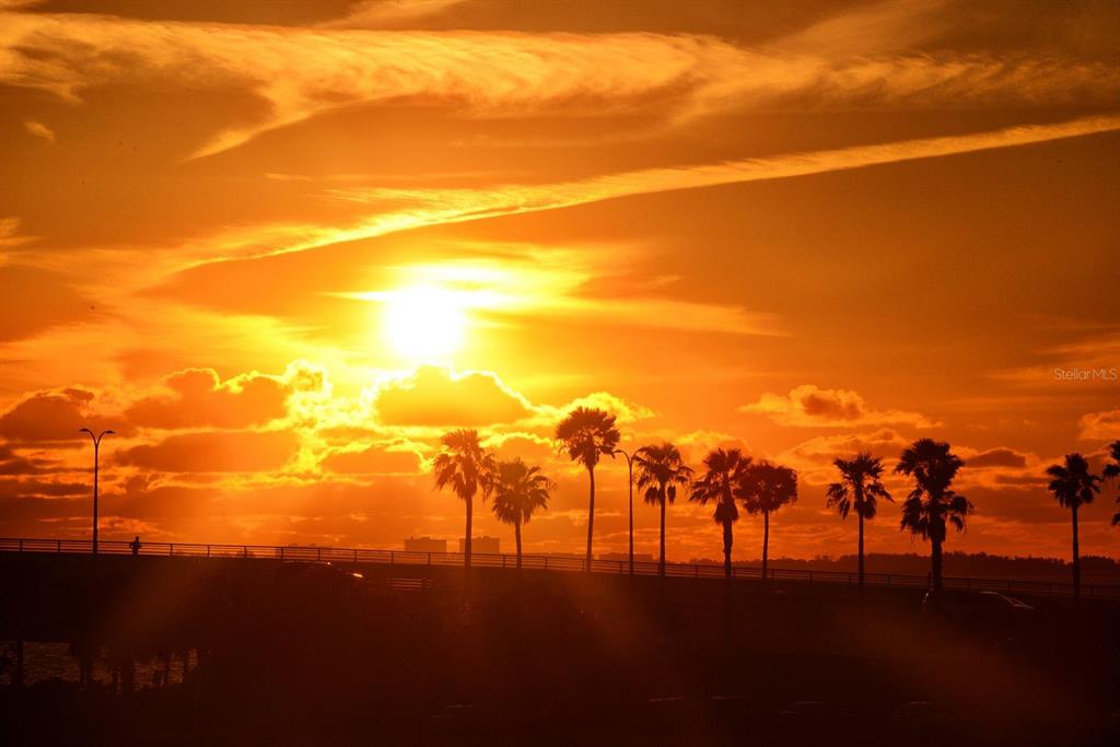 660 Golden Gate Point, Unit 32 Sarasota, FL 34236 - Photo 50 of 52 a view of an ocean beach